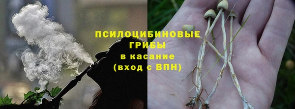 прущие крисы Мегион
