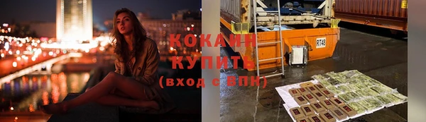 гидропоника Медногорск