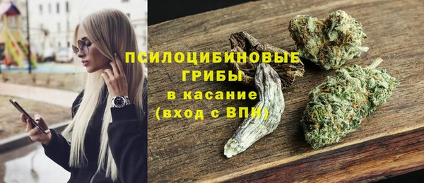 молекула духа Бугульма