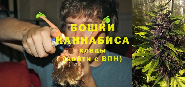 прущие крисы Мегион