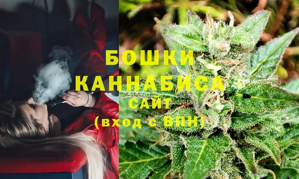 гидропоника Медногорск