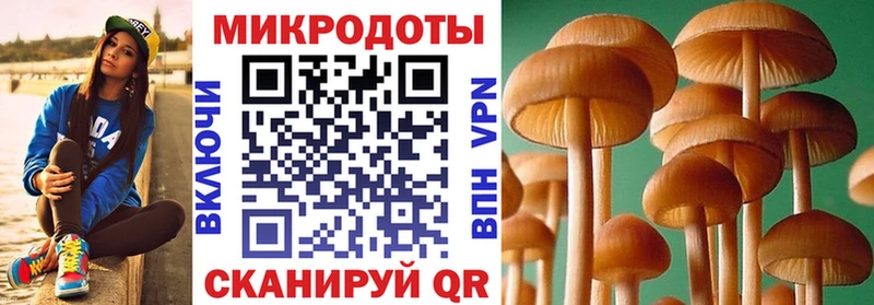 Галлюциногенные грибы ЛСД  мега маркетплейс  Венёв  где найти  